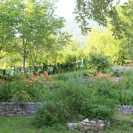 Atlantis קולן וקוף